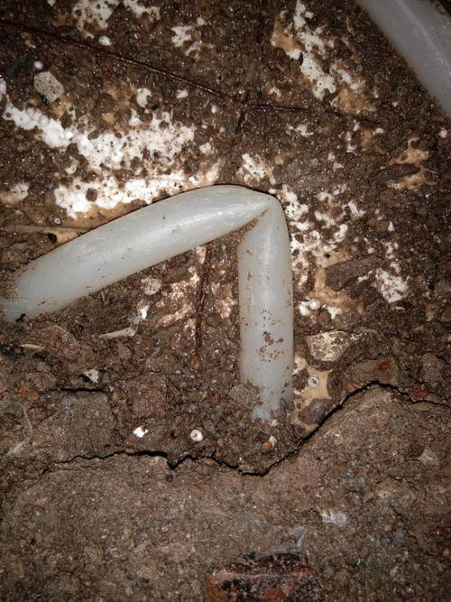 临清堵点精准查找